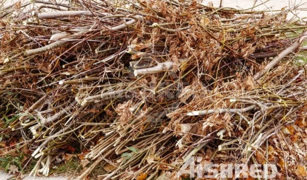 Τεμαχιστής διπλού άξονα για την επεξεργασία πράσινων αποβλήτων και βιομάζας